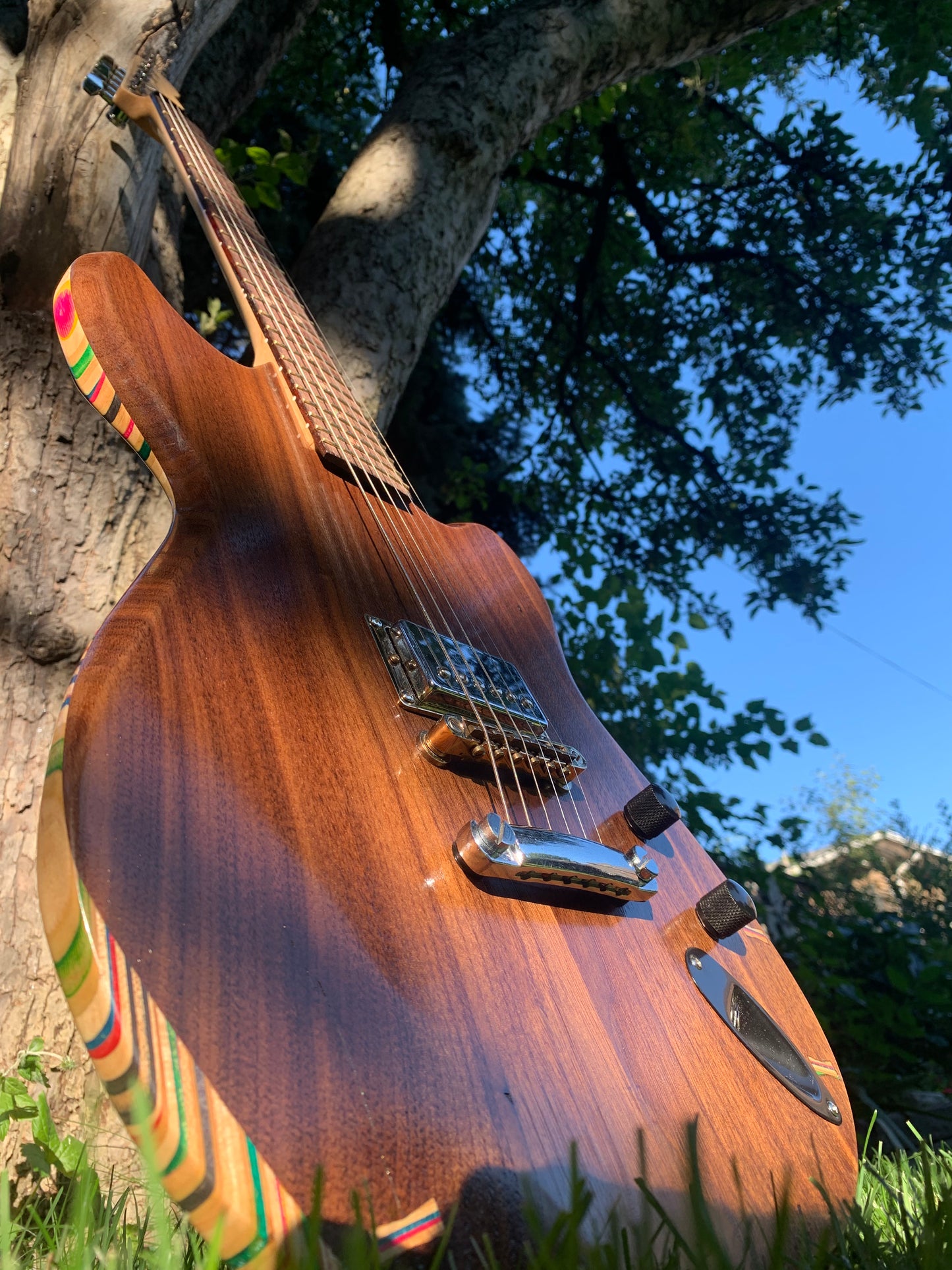 Levitater Book-Matched Black Walnut